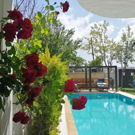 Nuriye Alacati Ξενοδοχείο Σμύρνη
